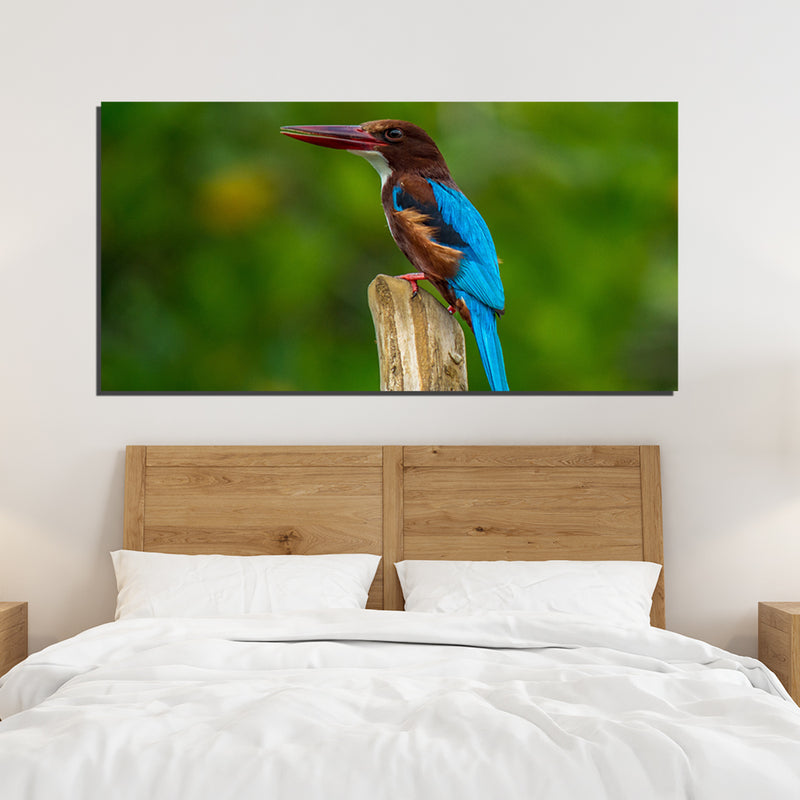 Kingfisher Bird Canvas Print Wall Painting