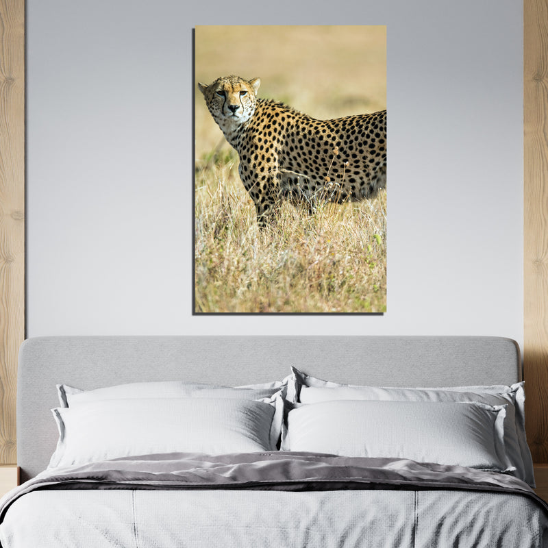 Jaguar Print On Canvas Wall Painting