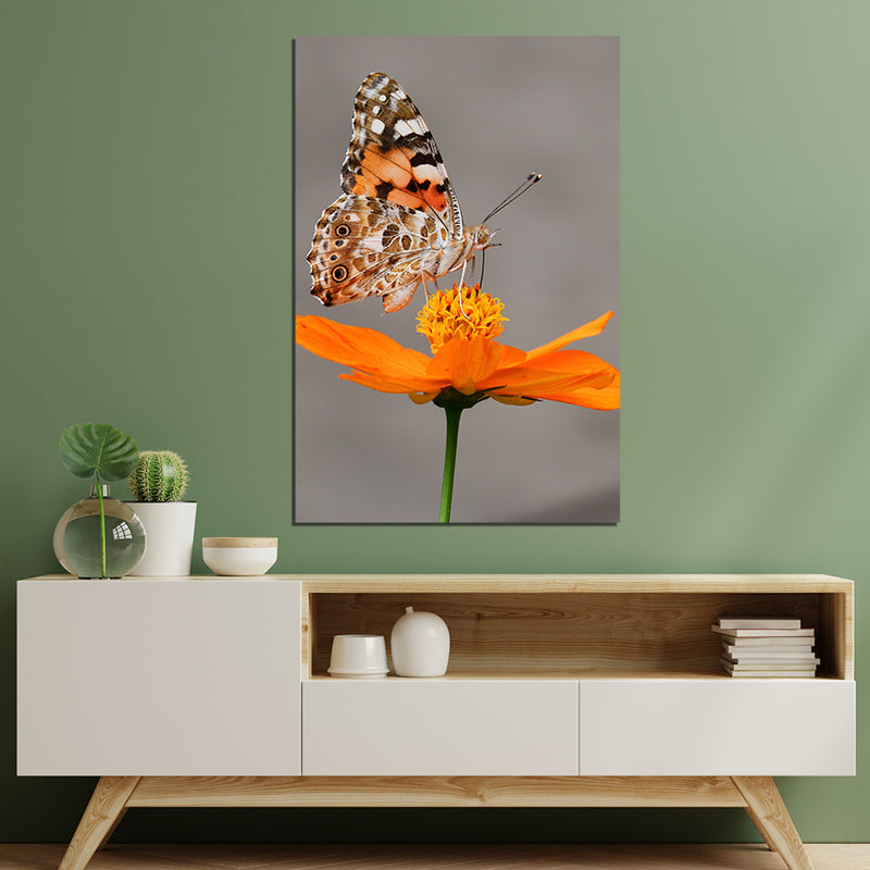 Butterfly Sitting On Flower Print Canvas Wall Painting