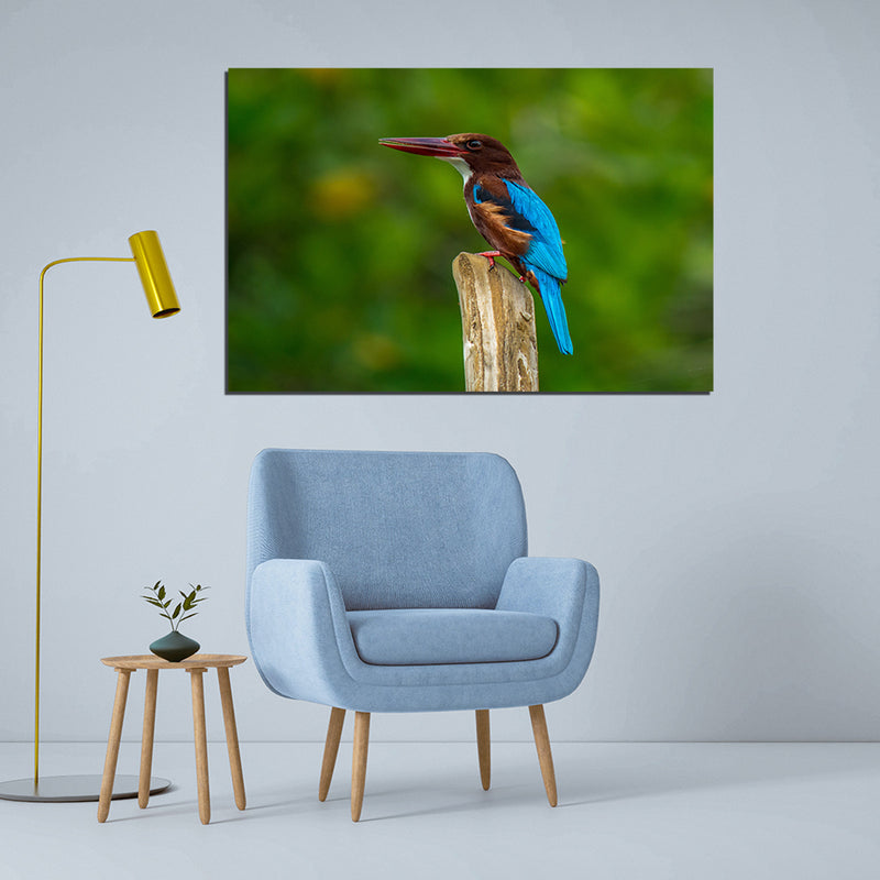 Kingfisher Bird Canvas Print Wall Painting