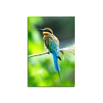 Bird Print On Canvas Wall Painting