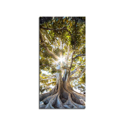 Beautiful Tree Print On Canvas Wall Painting