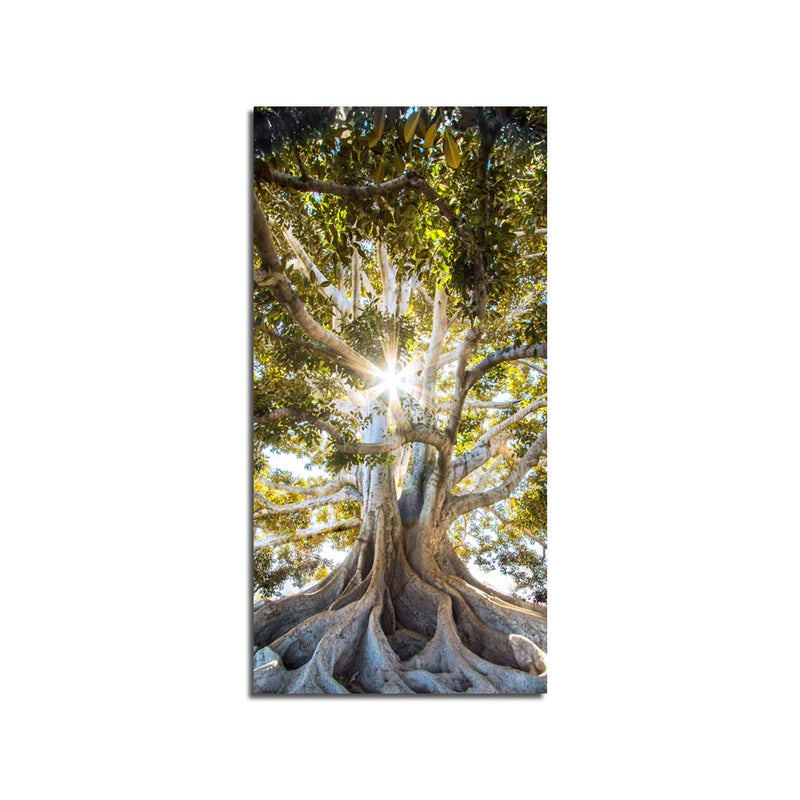 Beautiful Tree Print On Canvas Wall Painting