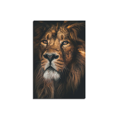 Lion Face Print On Canvas Wall Painting