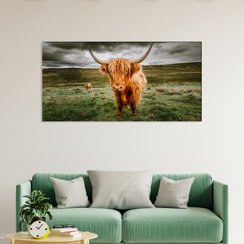 Highland Cattle With Scenic Canvas Wall Painting