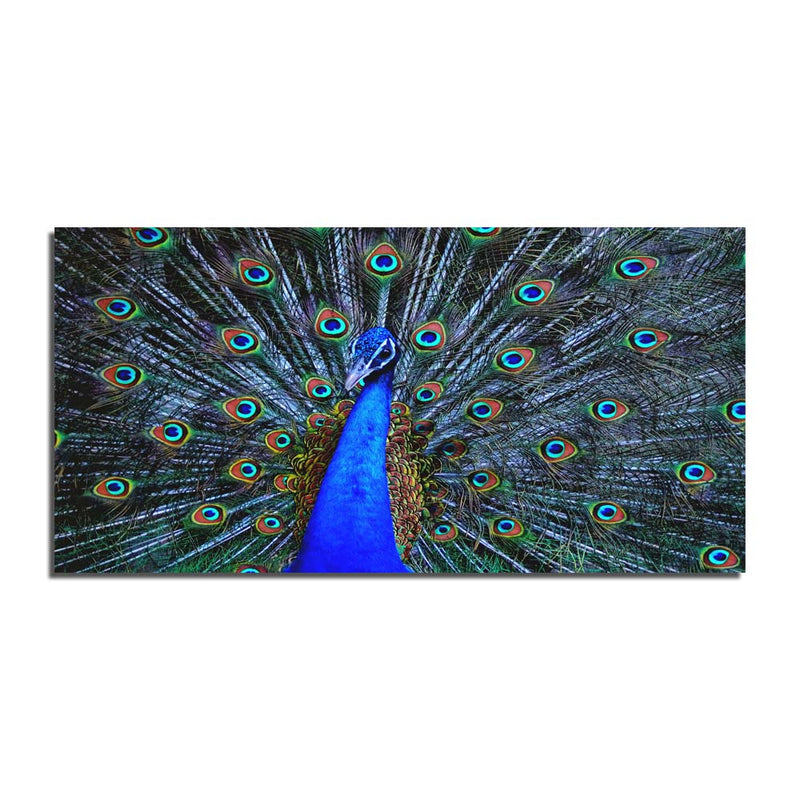 Beautiful Peacock Image Canvas Wall Painting
