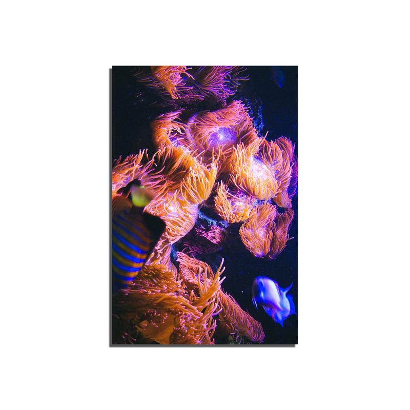 Abstract Print On Canvas Wall Painting