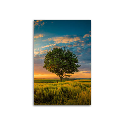 Beautiful Sunset Nature Canvas Wall Painting
