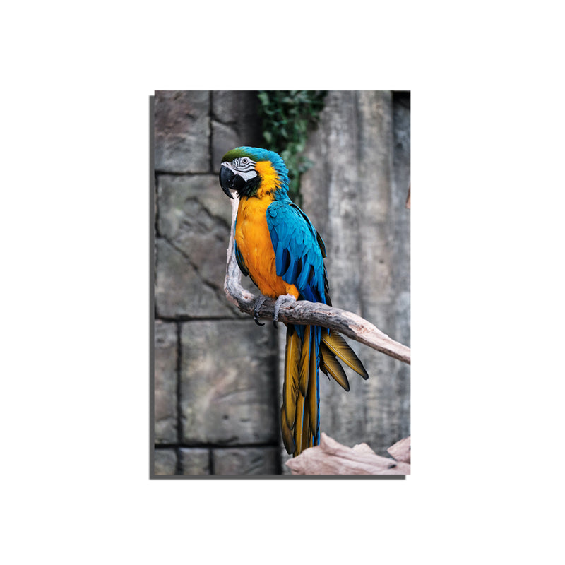 Macaw Bird On Canvas Wall Painting