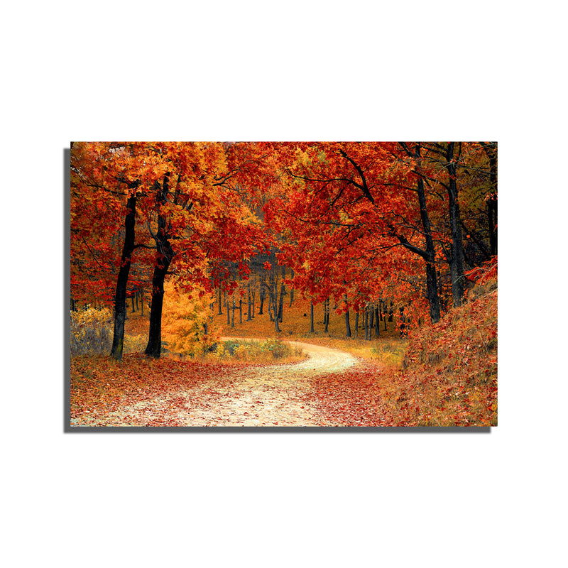 Beautiful Path Print On Canvas Wall Painting
