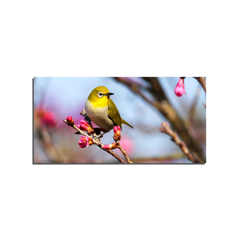 Bird On Sakura Tree Canvas Wall Painting