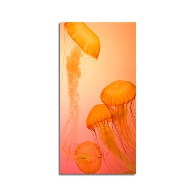 Jelly Fish Canvas Wall Painting