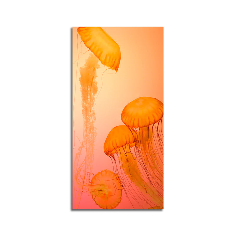 Jelly Fish Canvas Wall Painting