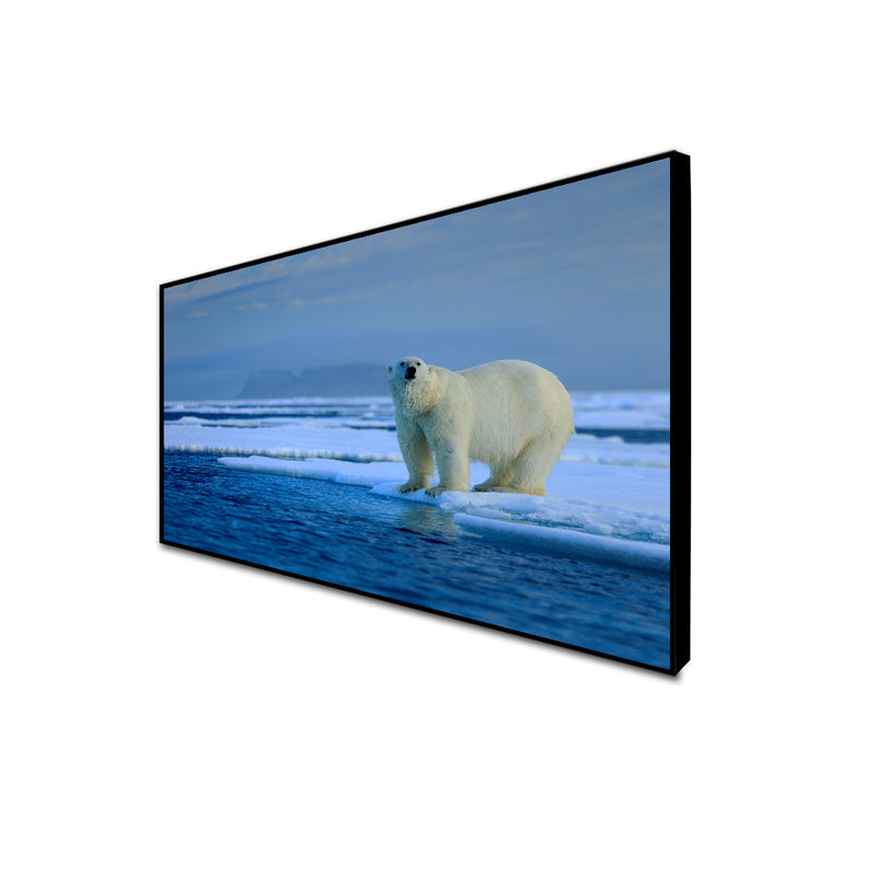Big Polar Bear Canvas Floating Frame Wall Painting