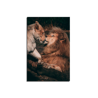 Lion Couple Kissing scene in forest On Canvas Wall Painting