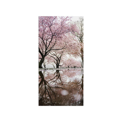 Cherry Blossom Tree Print On Canvas Wall Painting