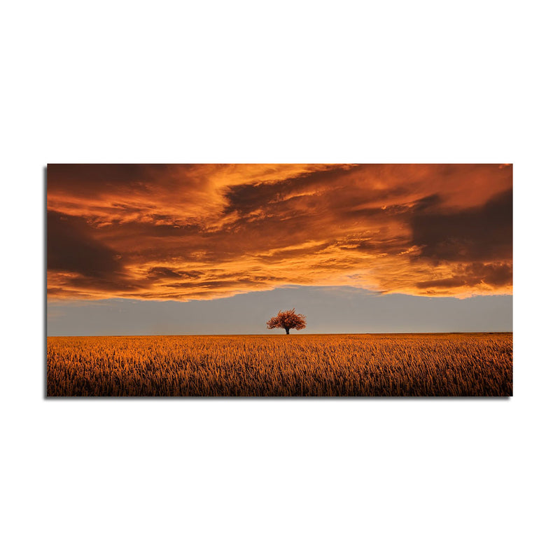 Beautiful Red Field And Sky Print On Canvas Wall Painting