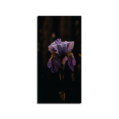 Irises Flower Print On Canvas Wall Painting