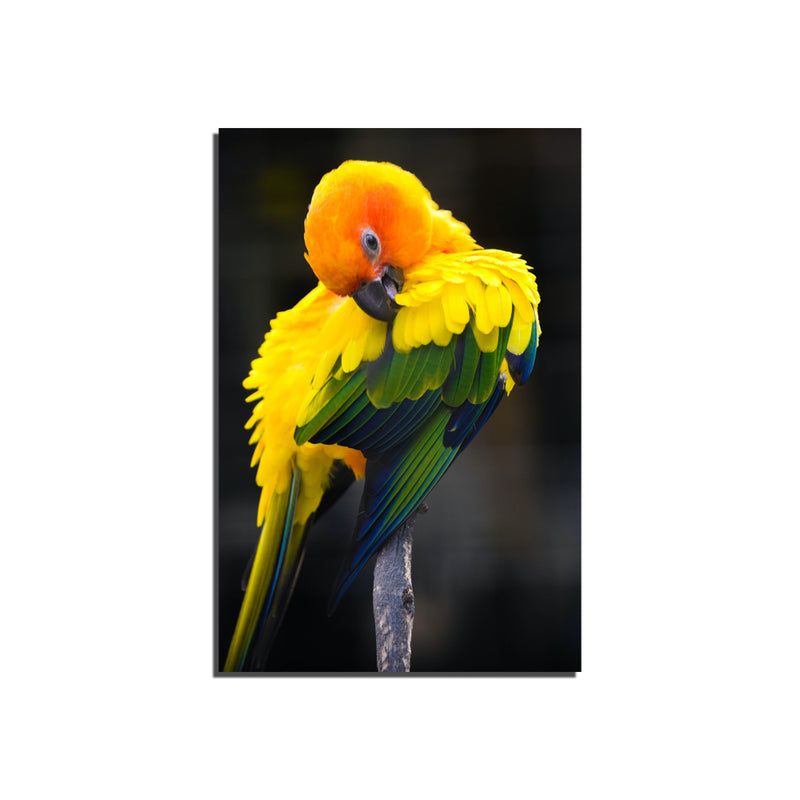 Beautiful Yellow Bird Print On Canvas Wall Painting