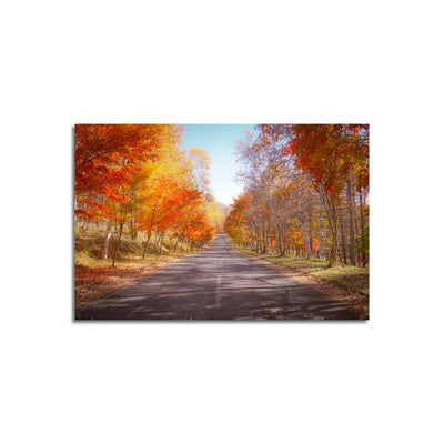 Autumn Natural Landscape Canvas wall painting