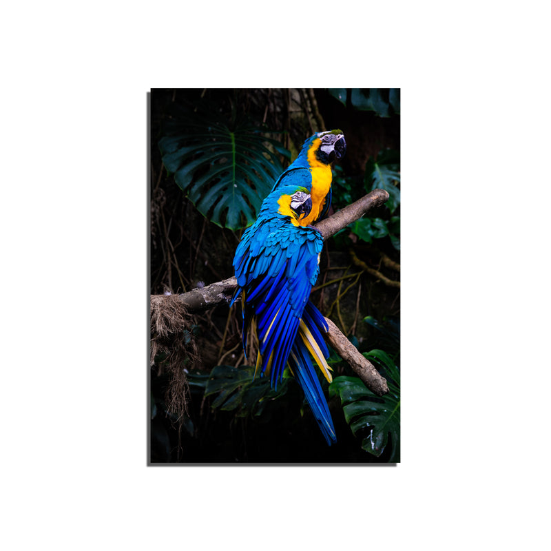 Love Birds Print On Canvas Wall Painting