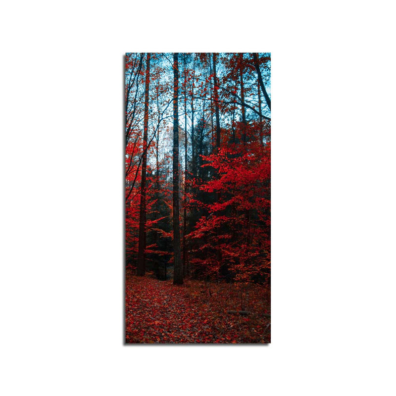 Beautiful  Forest Canvas Wall Painting