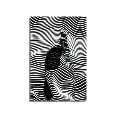 Modern Art Canvas Wall Painting