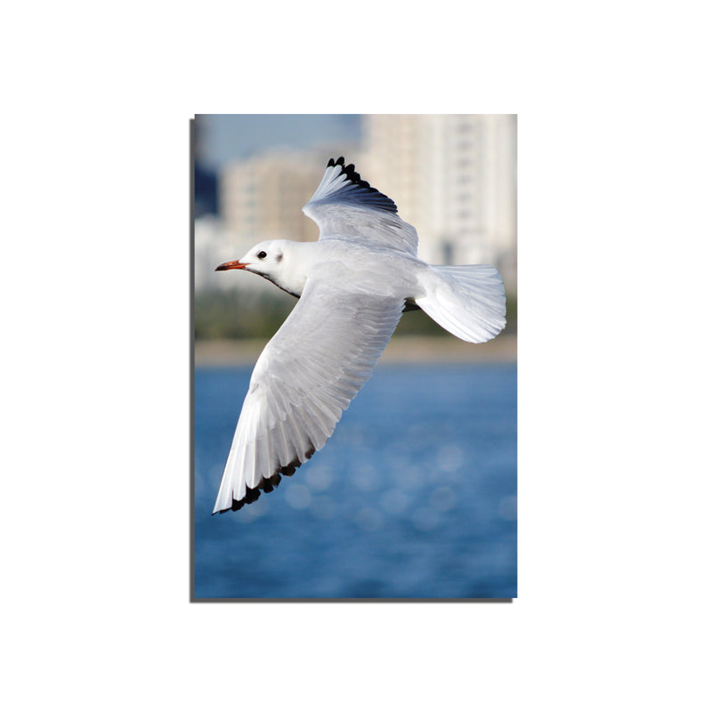 Beautiful Bird On Canvas Wall Painting