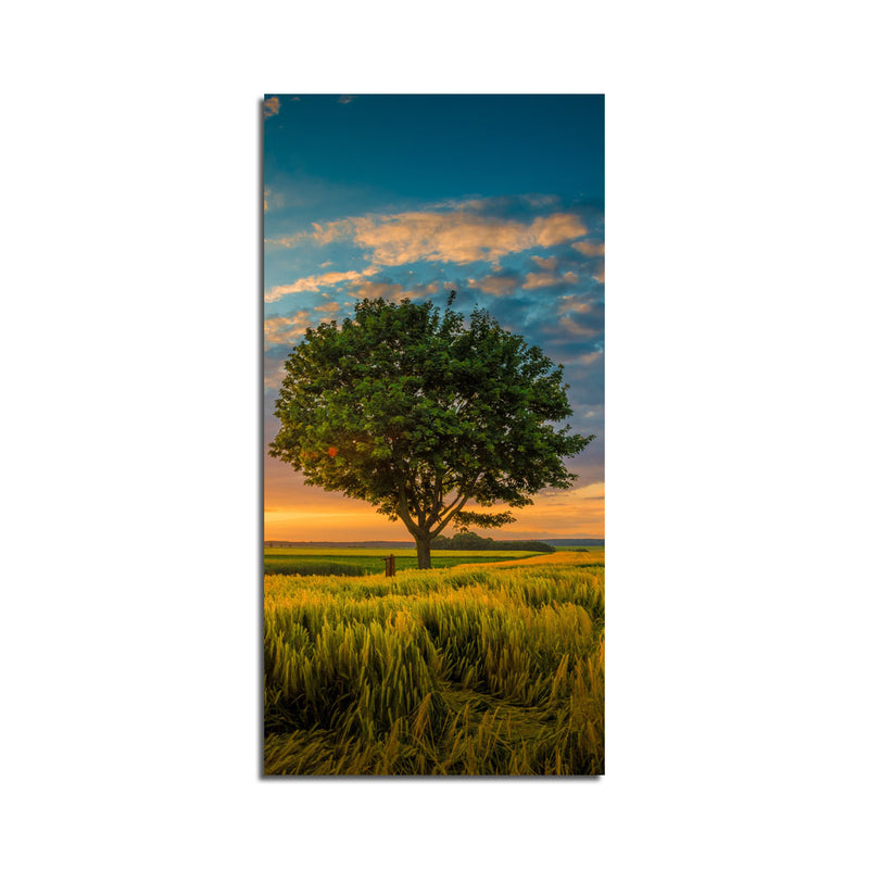 Beautiful Sunset Nature  Canvas Wall Painting
