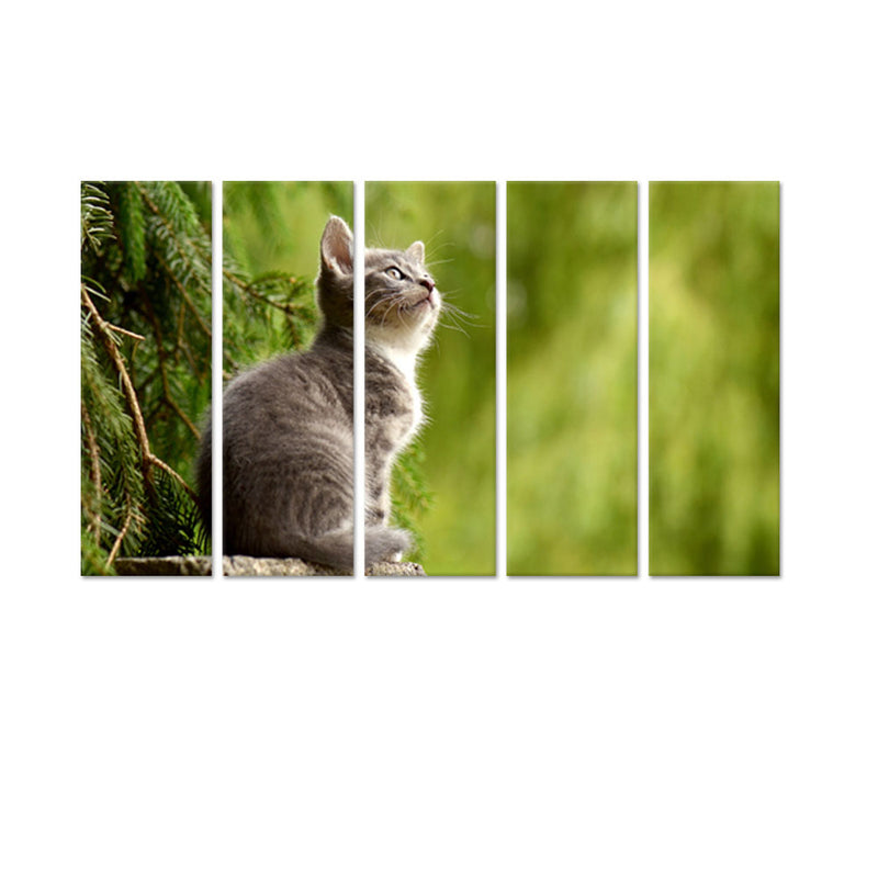 Lovely Cat Canvas Wall Painting - With 5 Panel