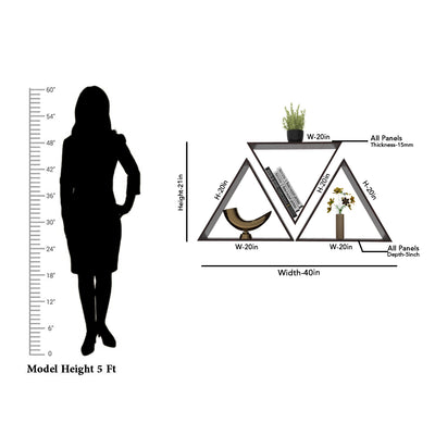 Beautiful Triangle Shape Set of 3 Wood Wall Shelf / Book Shelf, Walnut Finish