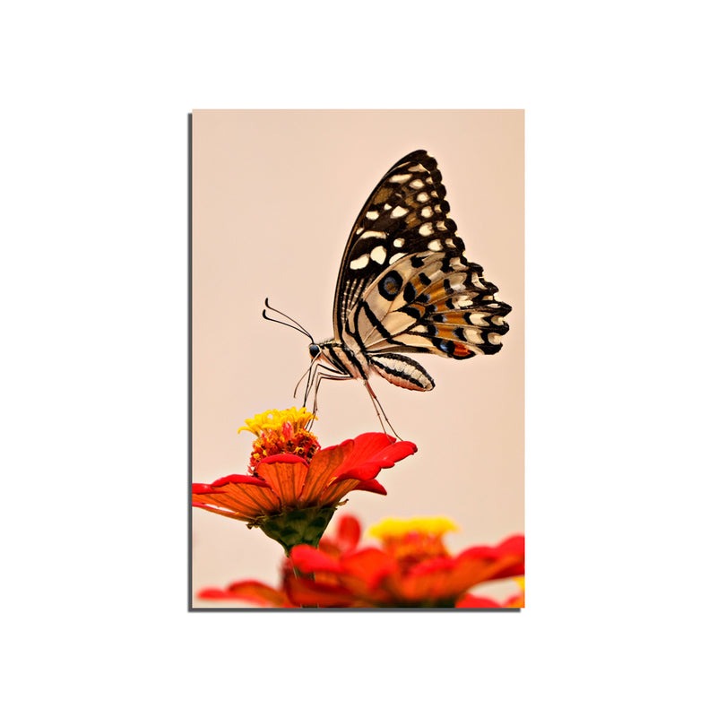 Butterfly Sitting On Flower Print Canvas Wall Painting