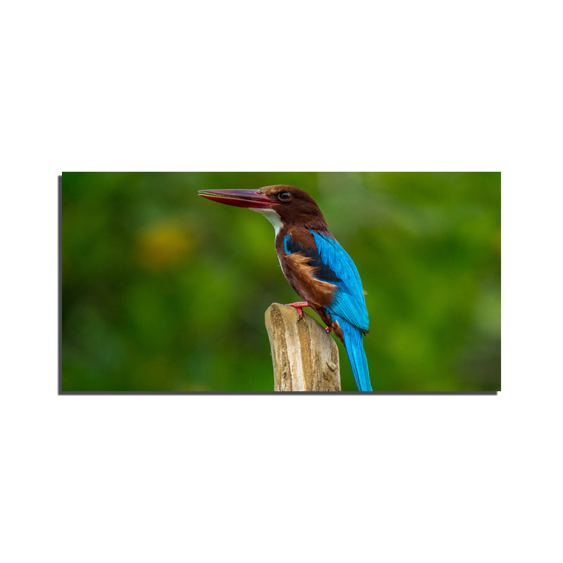 Kingfisher Bird Canvas Print Wall Painting