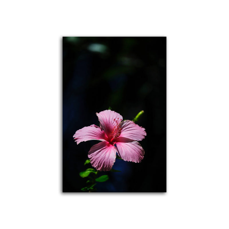 Hibiscus Flower Canvas Wall Painting