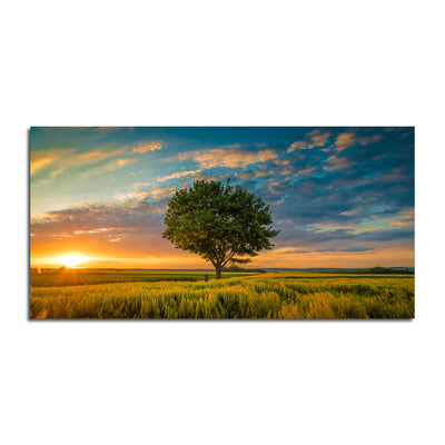 Beautiful Sunset Nature Canvas Wall Painting