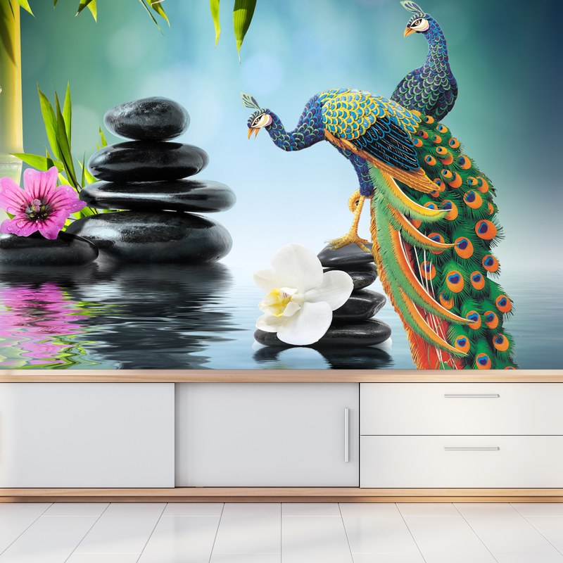 peacock wallpaper | wallpaper peacock