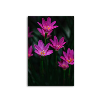 Beautiful Purple Flower Canvas Wall Painting