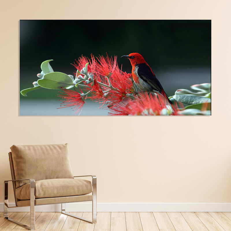 Little Bird Canvas Wall Painting