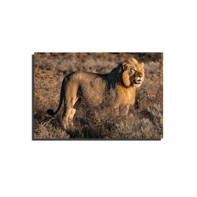 Lion Print On Canvas Wall Painting