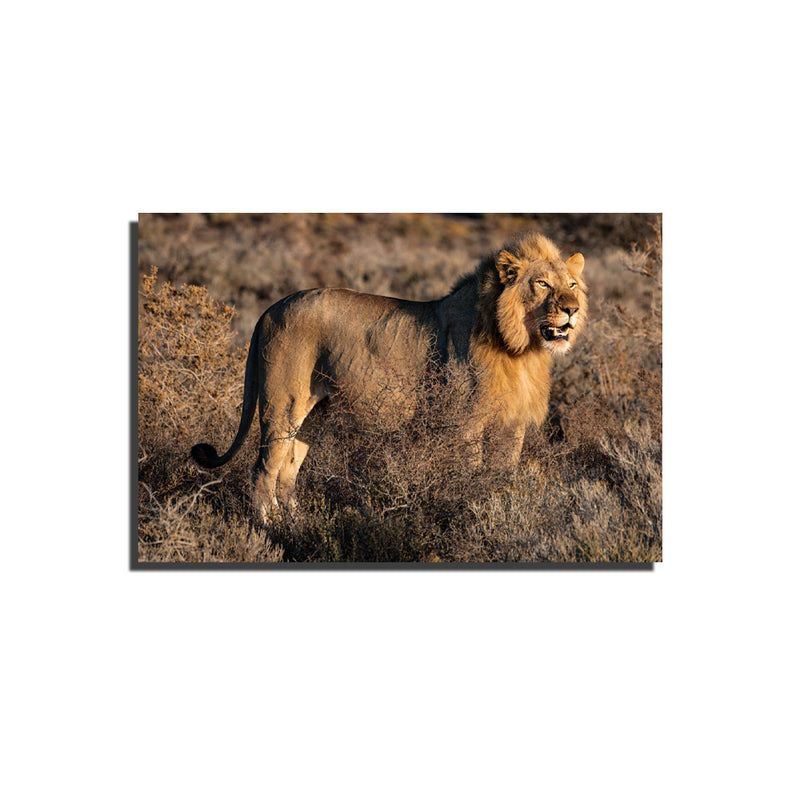 Lion Print On Canvas Wall Painting