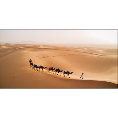 Camel Desert Canvas Wall Painting