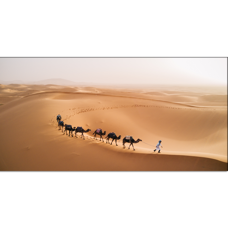 Camel Desert Canvas Wall Painting
