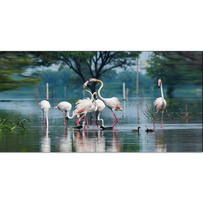 Flamingo Birds Canvas Wall Painting