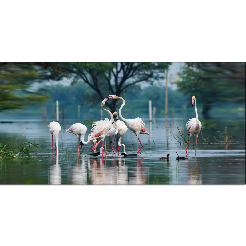 Flamingo Birds Canvas Wall Painting