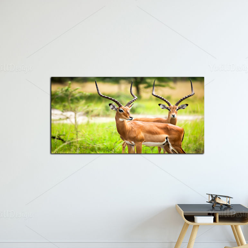 Couple Deer Canvas Wall Painting