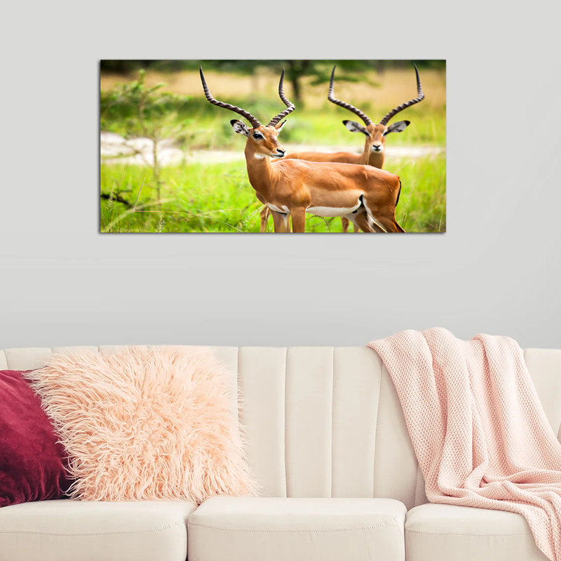 Couple Deer Canvas Wall Painting