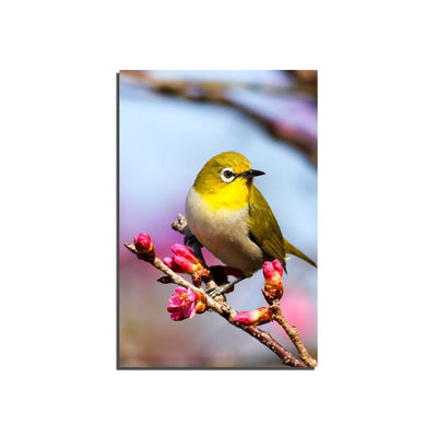 DecorGlance Bird On Sakura Tree Canvas Wall Painting