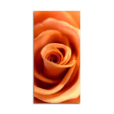 DecorGlance Orange Rose Close Up Canvas Wall Painting