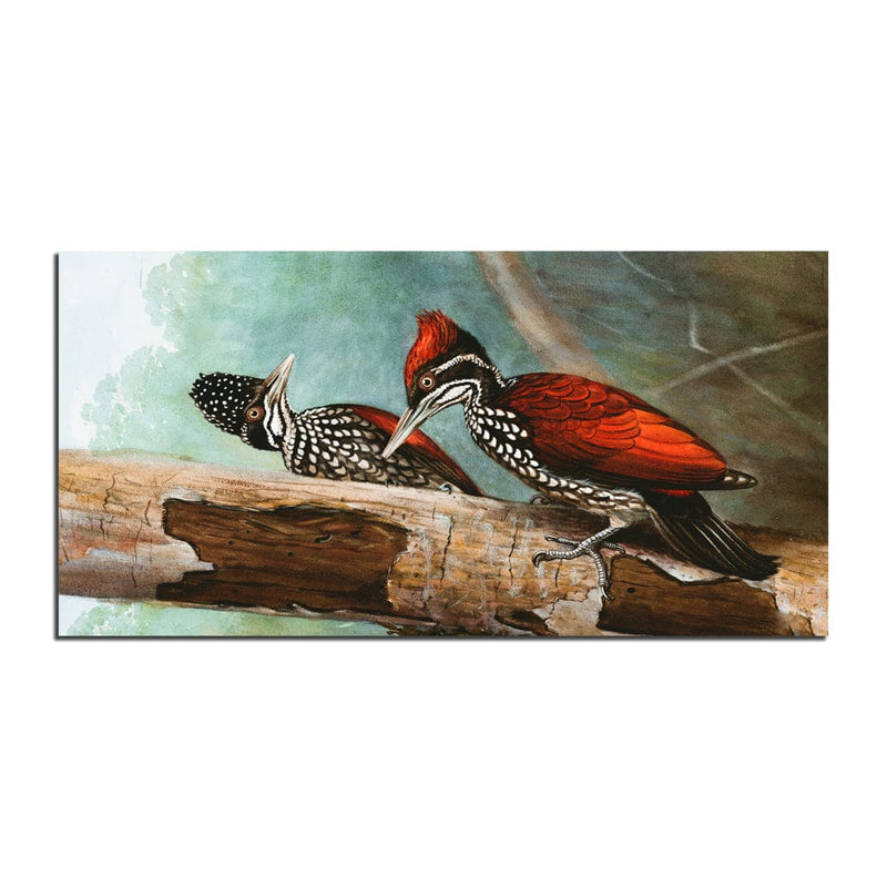 DecorGlance Pair Of Woodpeckers Canvas Wall Painting