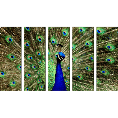 DECORGLANCE Panel painting Peacock Dancing Canvas Wall Painting- With 5 Frames